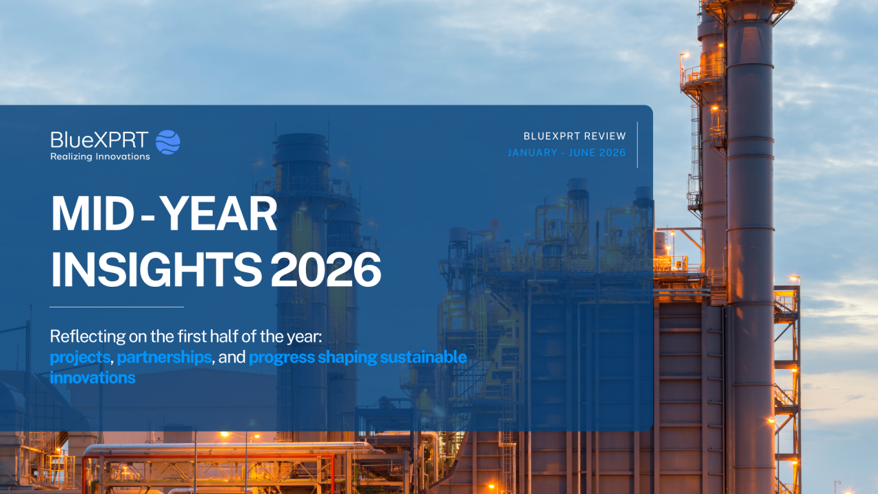 Mid-Year Review: January to June 2026